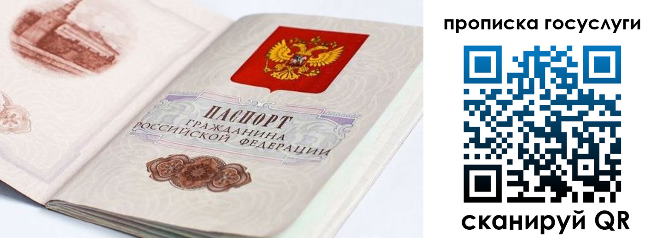 прописка регистрация в Курганинске